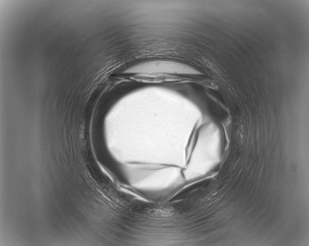 X0000056320548200509231949