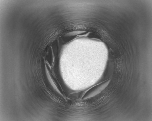 X0000056320550200509231949