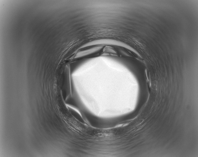 X0000056320552200509231949