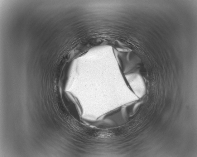 X0000056320555200509231949
