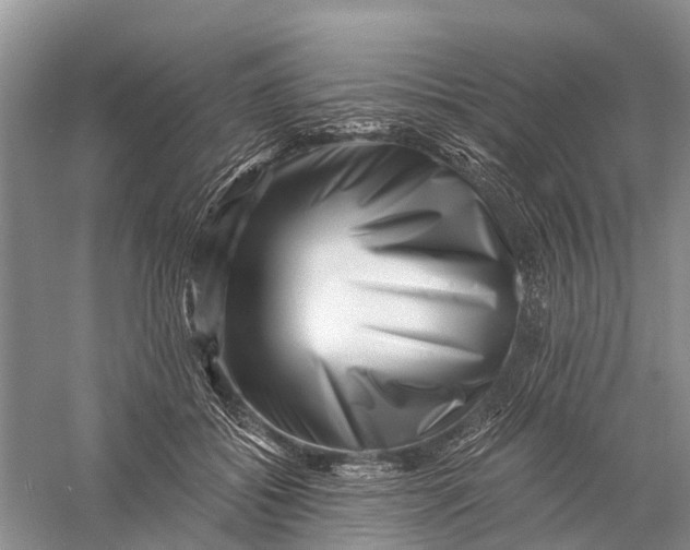X0000056320556200509231949