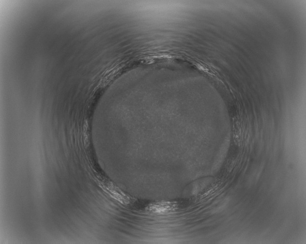 X0000056320563200509231949