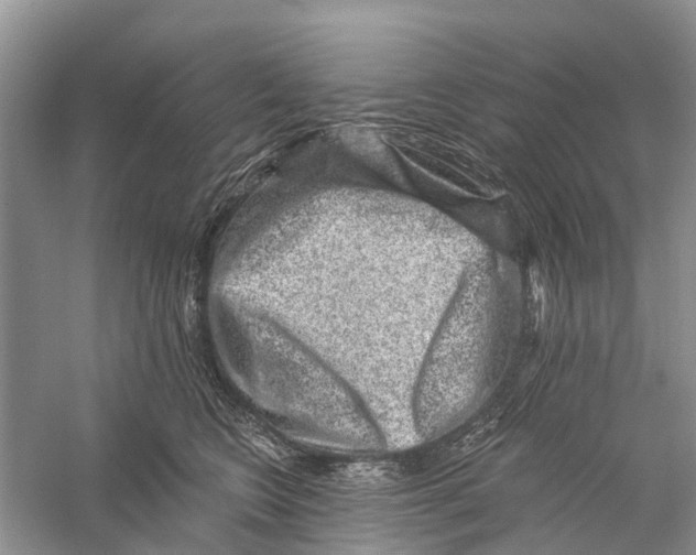 X0000056320566200509231949