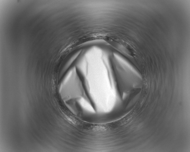 X0000056320572200509231950