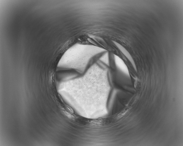 X0000056320574200509231950