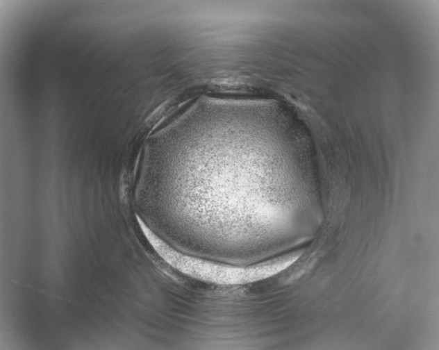 X0000056320576200509231950