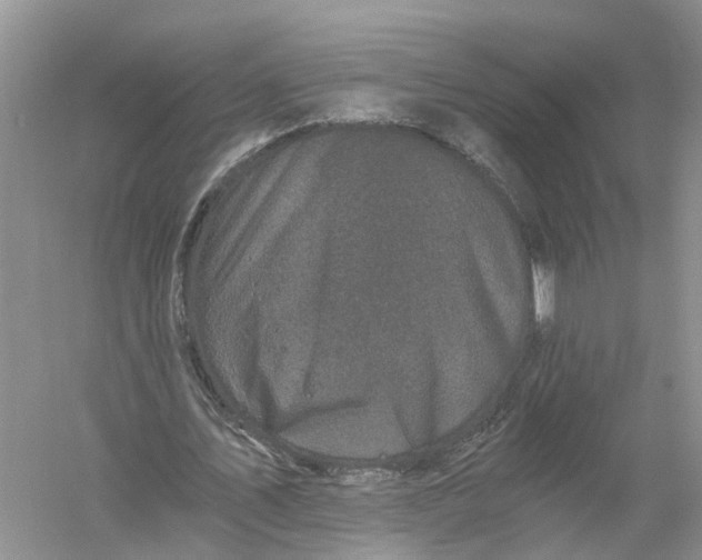 X0000056320579200509231949