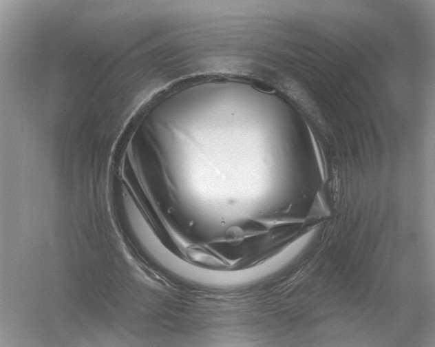 X0000056320580200509231949
