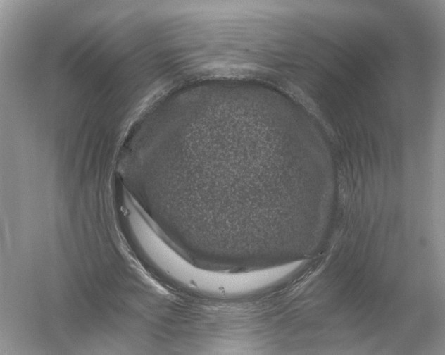 X0000056320581200509231949