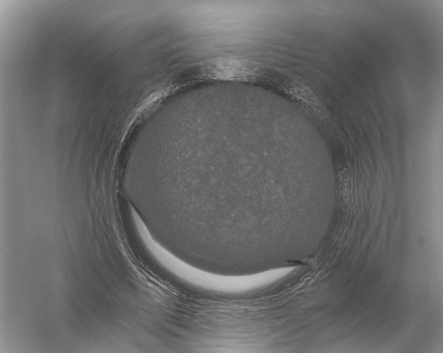 X0000056320587200509231949