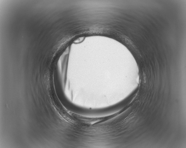 X0000056320588200509231949