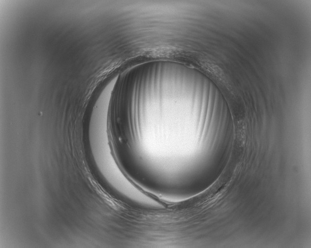 X0000056320589200509231949