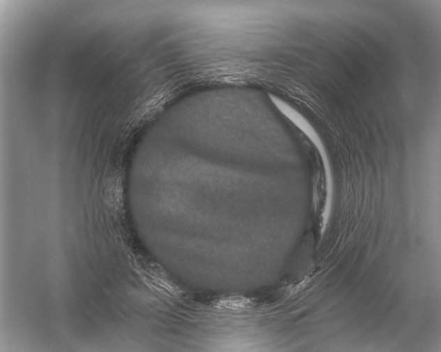 X0000056320595200509231949