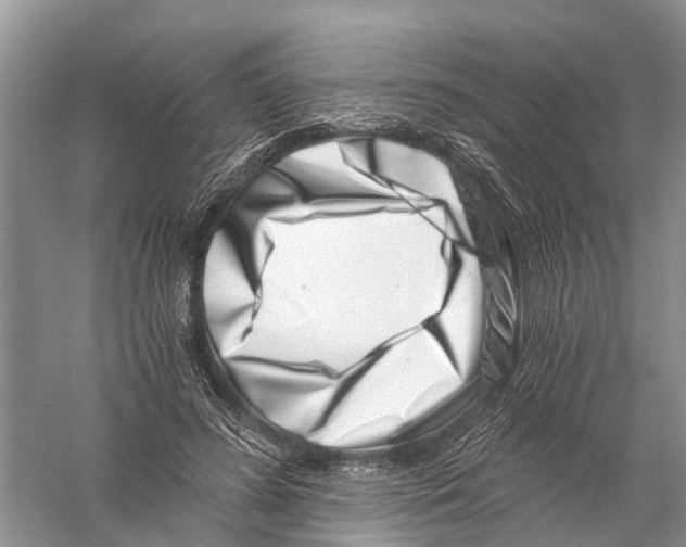 X0000056320596200509231949