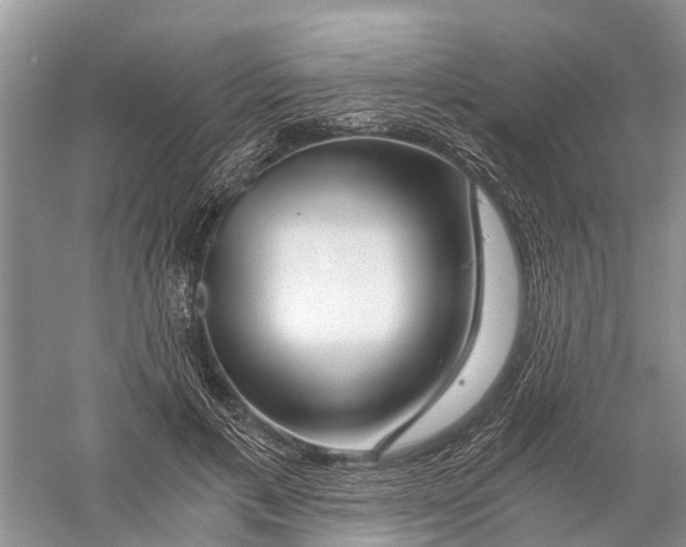 X0000056320597200509231948