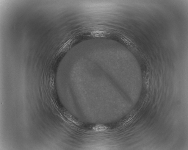 X0000056320603200509231948