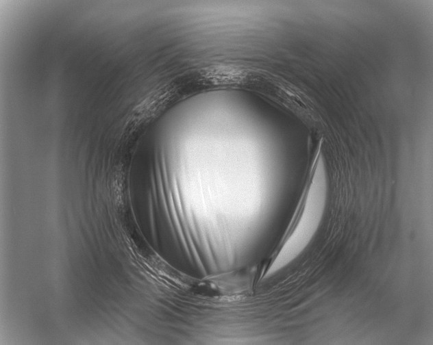 X0000056320604200509231948
