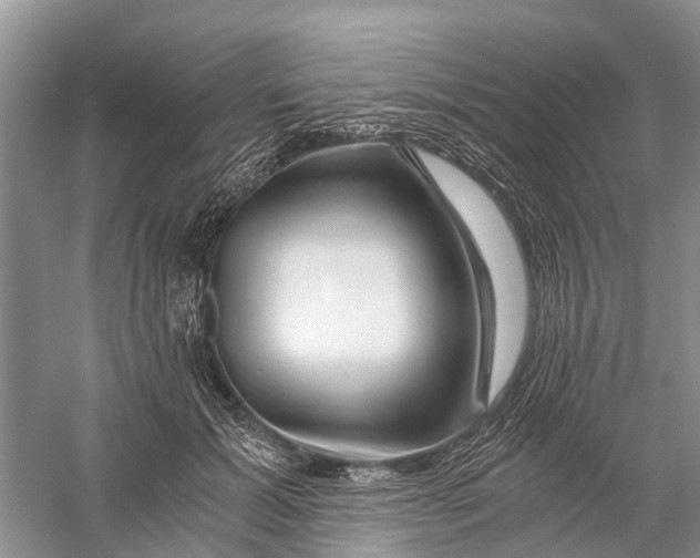 X0000056320605200509231948