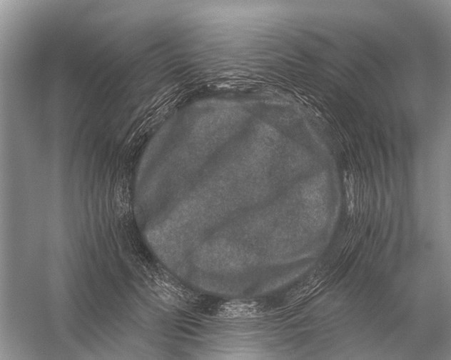X0000056320606200509231948