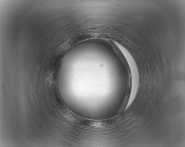 X0000056320611200509231948