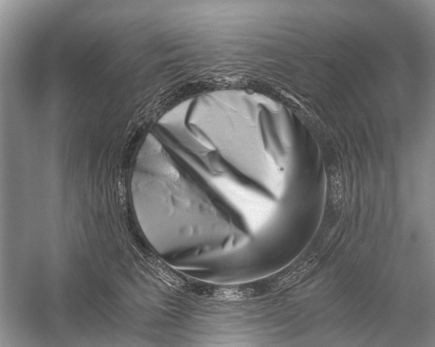 X0000056320613200509231948