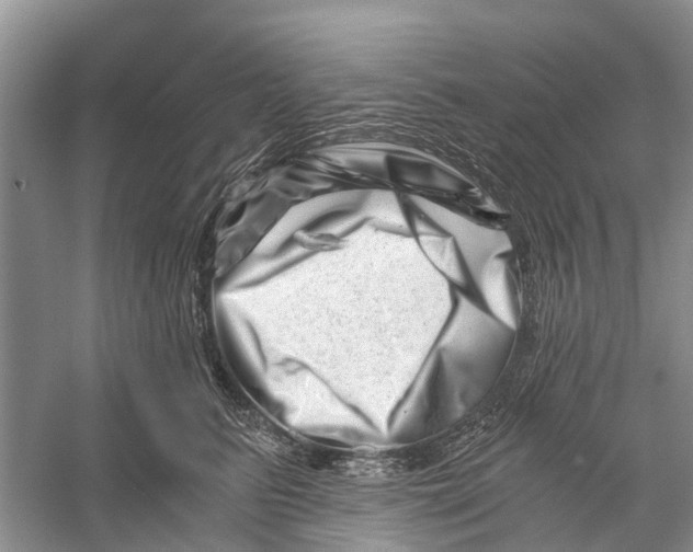 X0000056320615200509231948