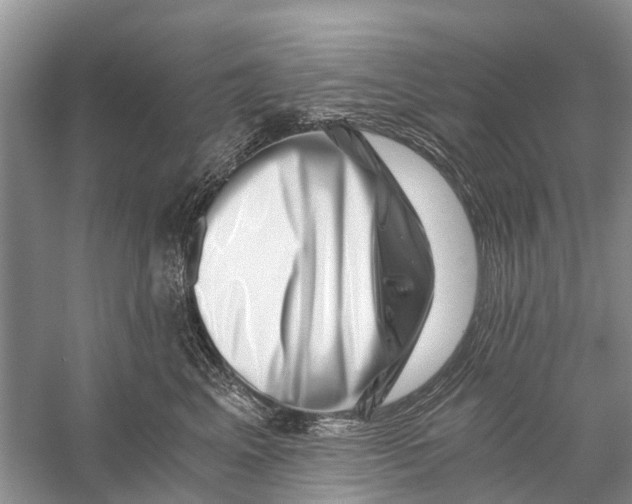 X0000056320617200509231948