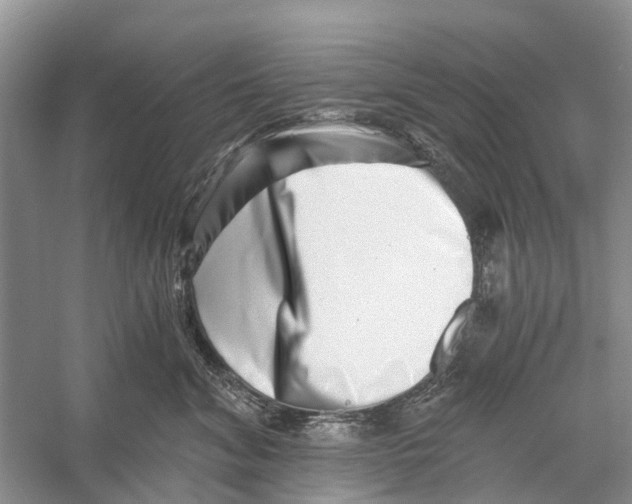 X0000056320620200509231948