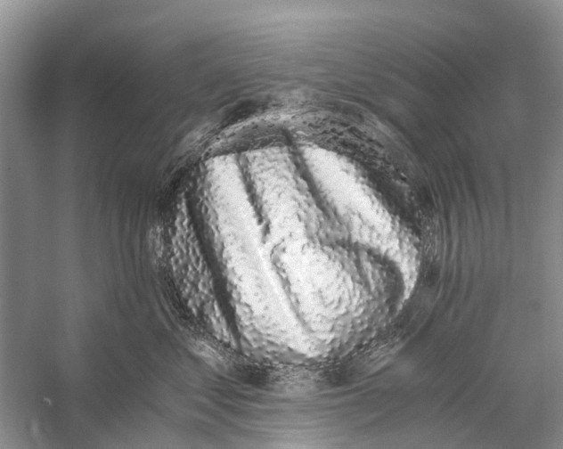 X0000056320621200509231948
