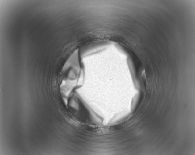 X0000056320623200509231948