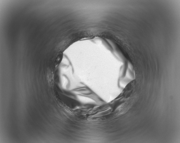 X0000056320624200509231948