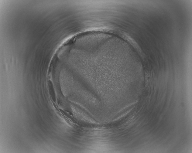 X0000056320628200509231947