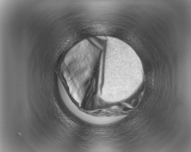 X0000056320642200509231948