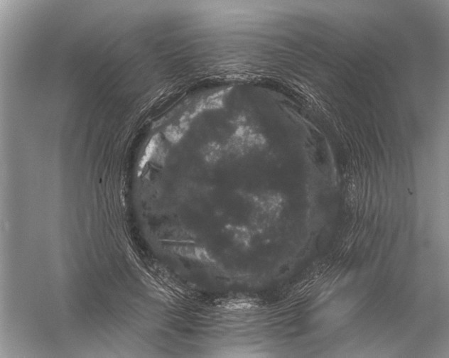 X0000056320643200509231948