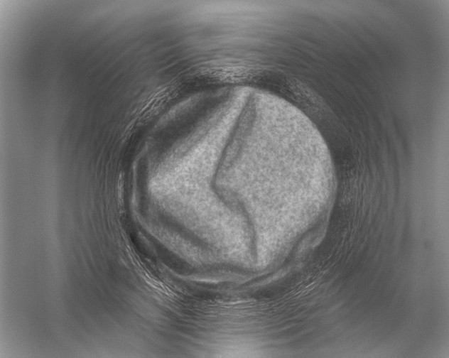 X0000056320646200509231948