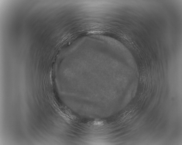 X0000056320647200509231948