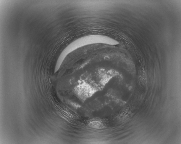 X0000056320653200509231948