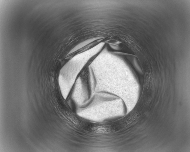 X0000056320655200509231948