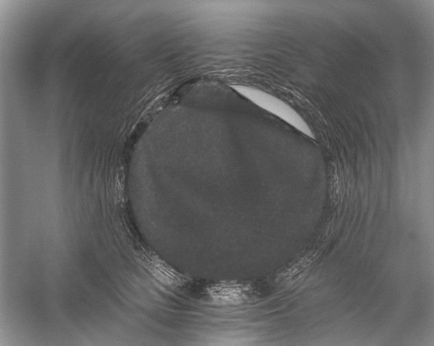 X0000056320661200509231948