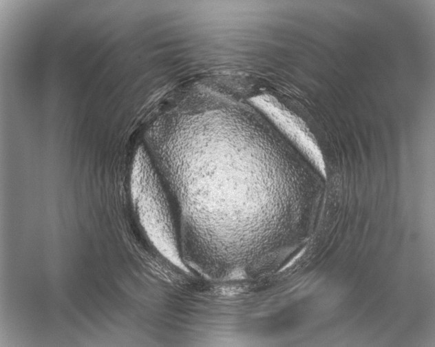 X0000056320662200509231948