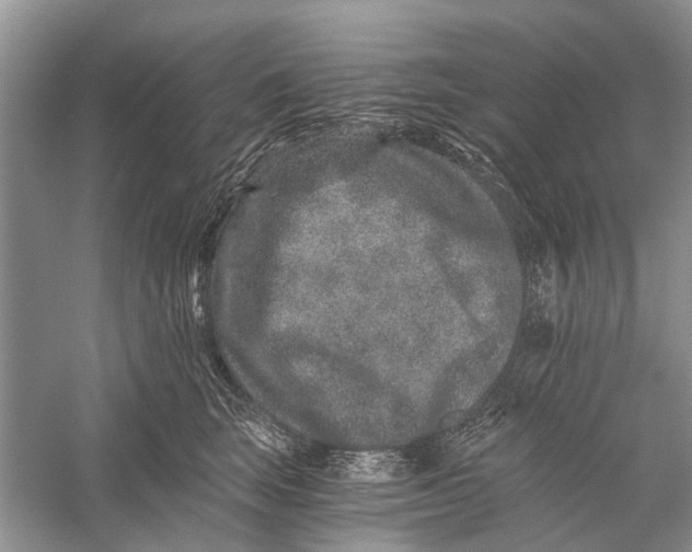 X0000056320663200509231948