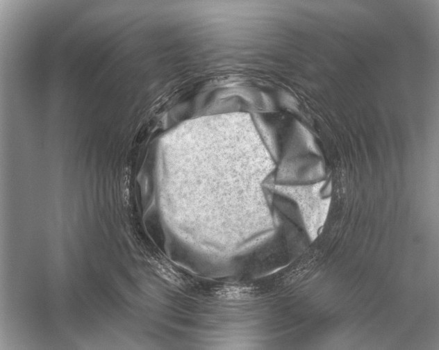 X0000056320664200509231948