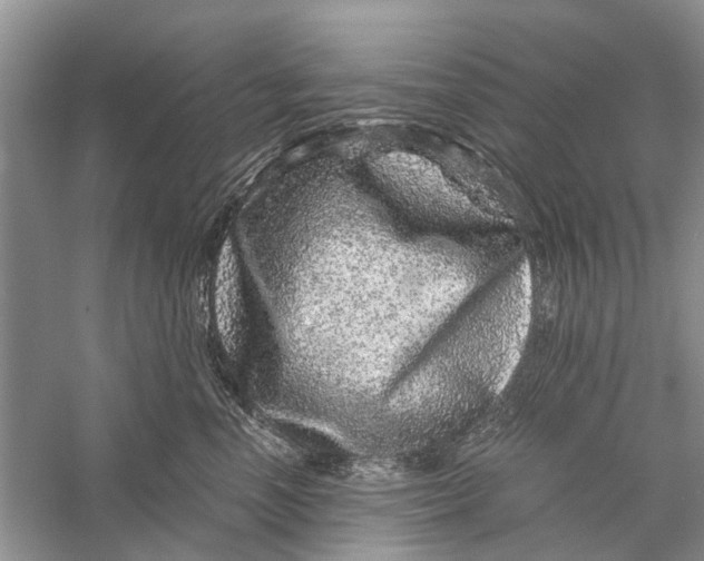X0000056320666200509231948