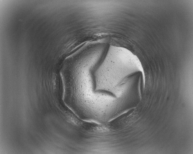 X0000056320668200509231948