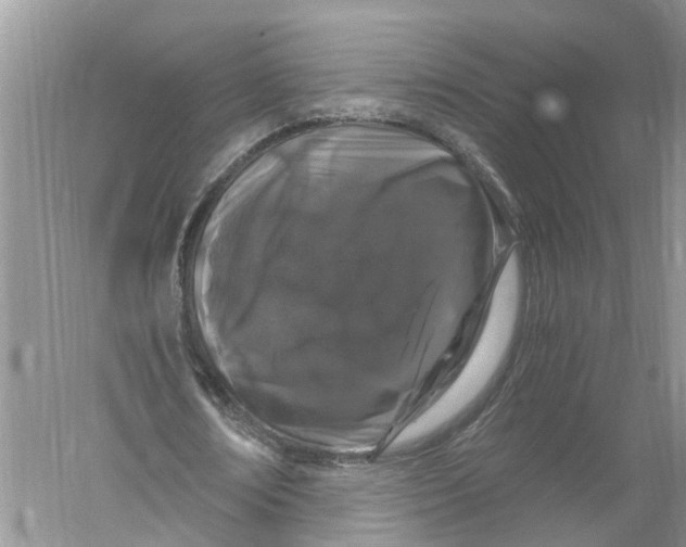 X0000056320674200509231947