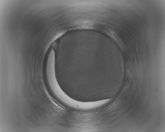 X0000056320677200509231947