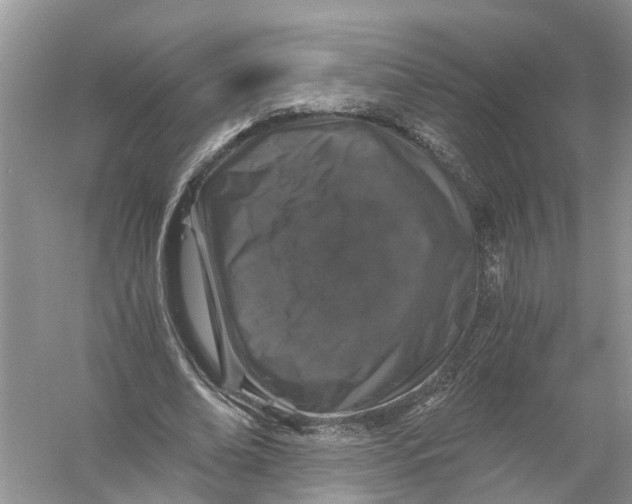 X0000056320678200509231947