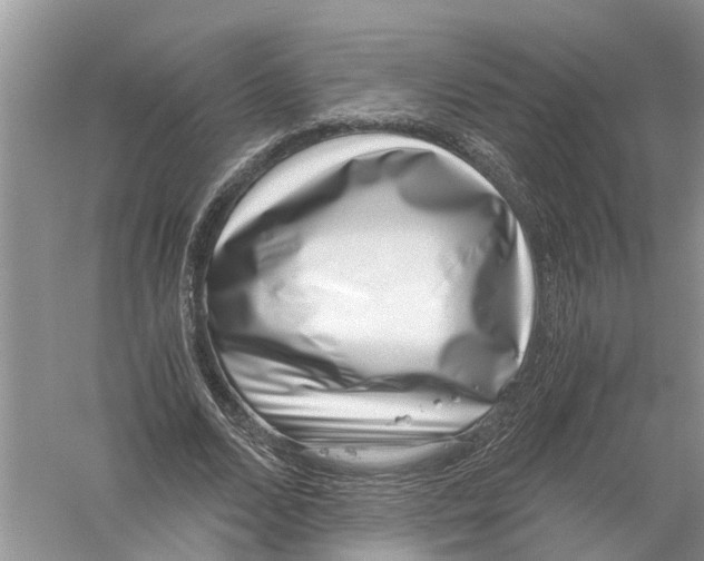 X0000056320680200509231947