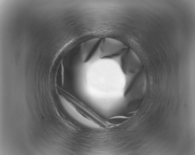 X0000056320684200509231947