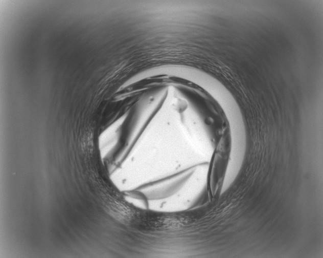 X0000056320697200509231947